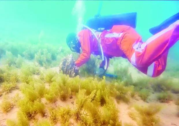 尊时凯龙·Z6(中国区)人生就是拼搏!