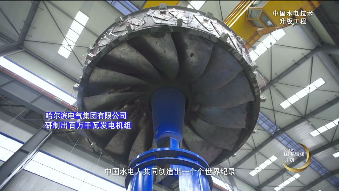 尊时凯龙·Z6(中国区)人生就是拼搏!